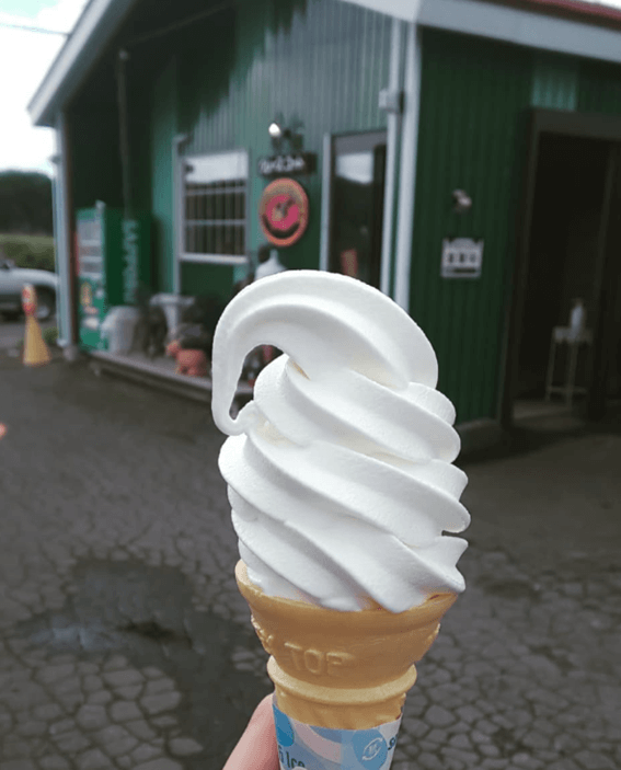 恵庭,ソフトクリーム,穴場,牧場,ドライブ,むらかみ牧場,グレースコート