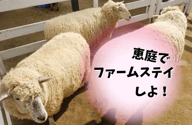 恵庭,ファームステイ,農業体験