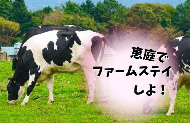 恵庭,ファームステイ,農業体験