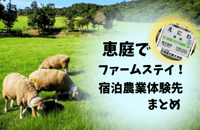恵庭,ファームステイ,農業体験
