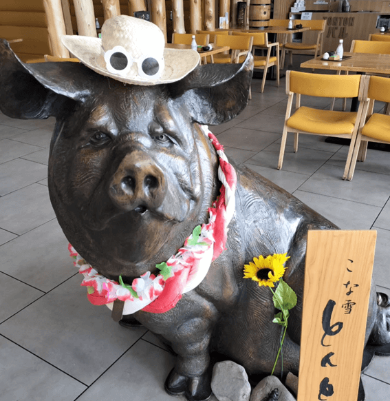 恵庭,デカ盛り,大盛り,ランチ,おすすめ,特徴,口コミ,評判,こな雪とんとん恵庭店