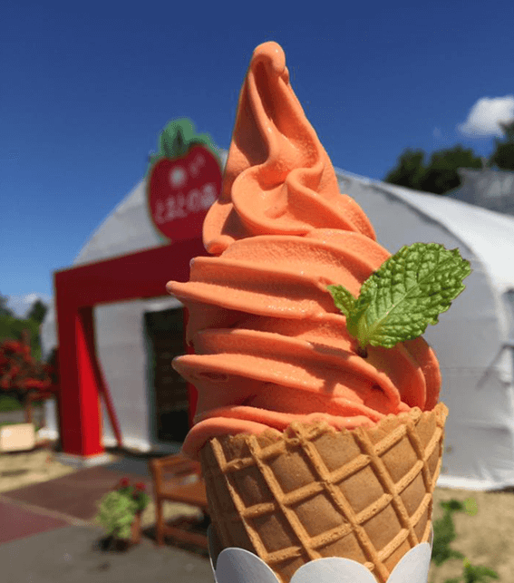 恵庭,スイーツ,おすすめ,口コミ,評判,とまとの森カフェころくる,えこりん村,トマトソフトクリーム