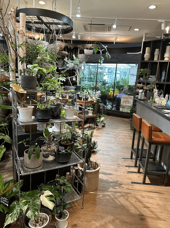 恵庭,花屋,おしゃれ,おすすめ,口コミ,評判,jiku-hana,軸花