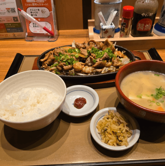 恵庭,定食,定食屋,美味しい,口コミ,評判,やよい軒,フレスポ恵み野店