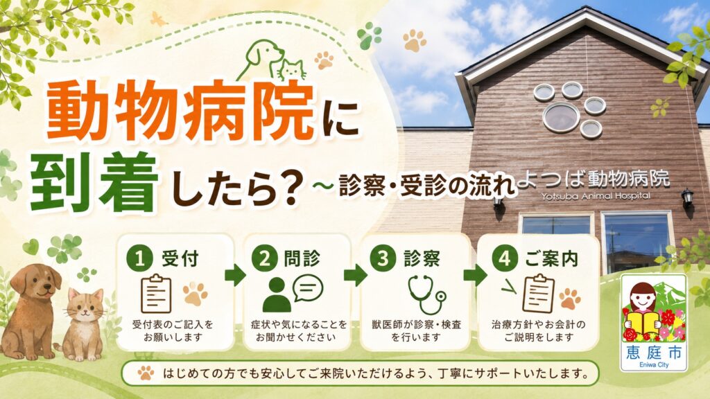 恵庭,動物病院,特徴,おすすめ,口コミ,評判